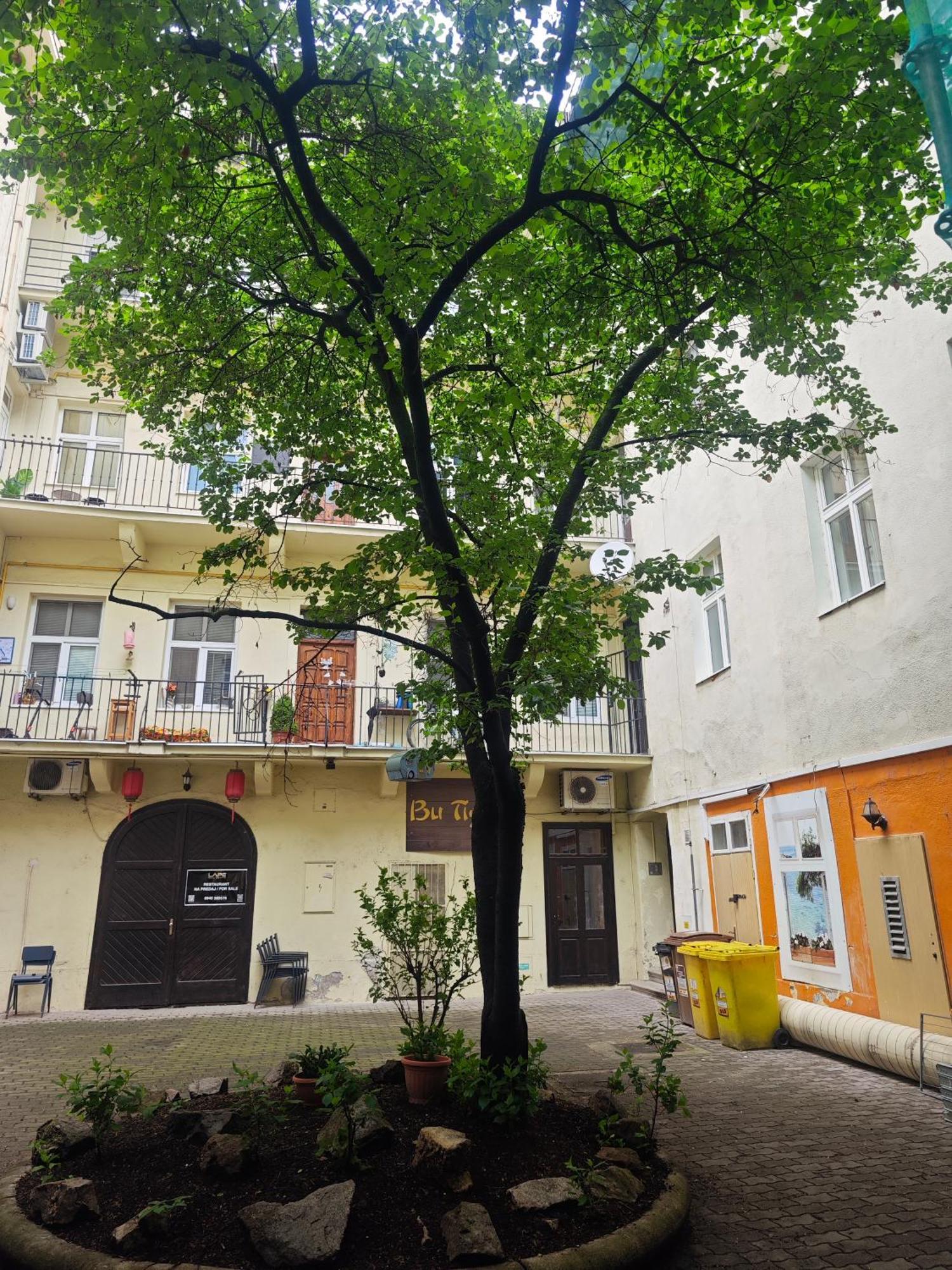 Laurinska Modern Apartment In Direct Centrum Of Bratislava, Air-Condition Exterior foto